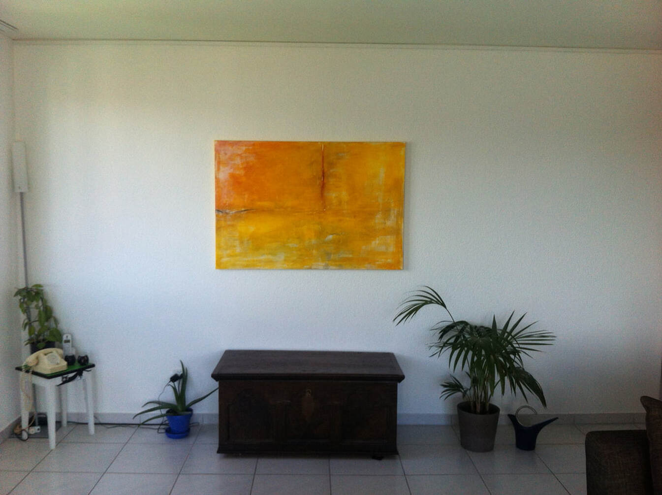 Bild